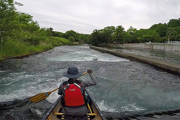 千歳川魚道