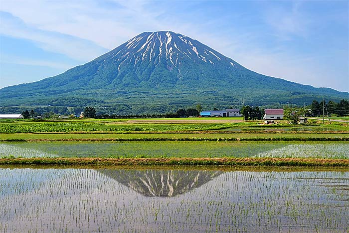 羊蹄山