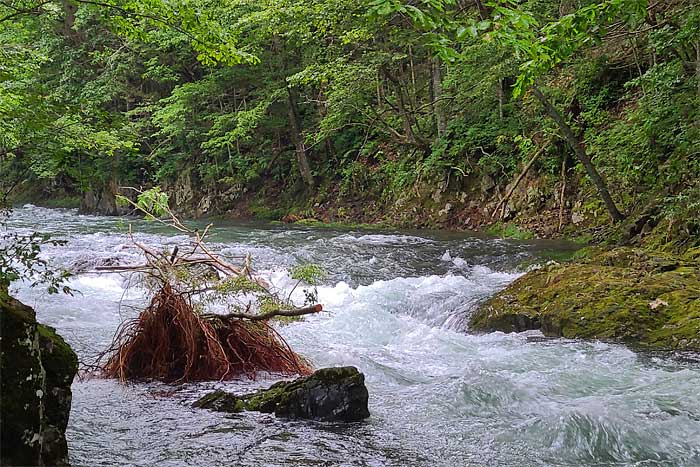 シーソラプチ川トラウマの瀬