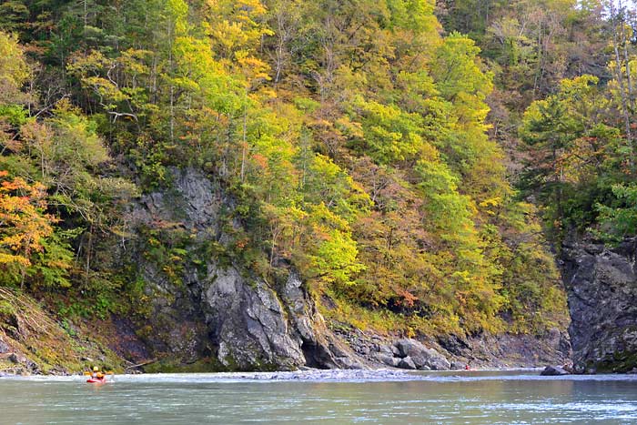 沙流川のダウンリバー