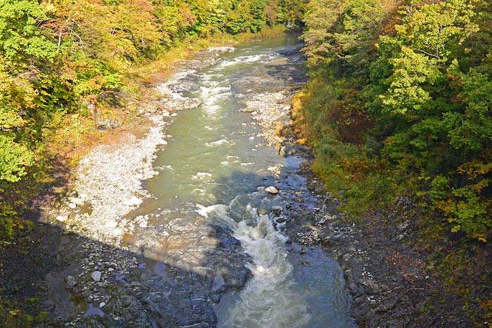 沙流川のダウンリバー