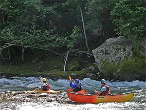 ウェーブで遊ぶ人達