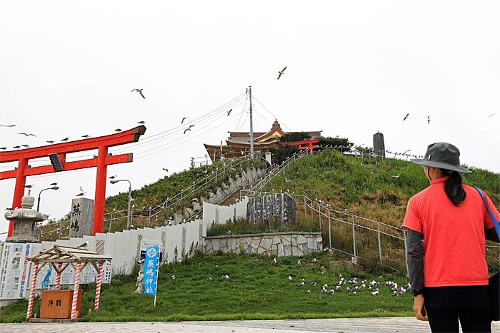 蕪島