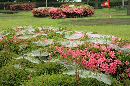 小川原湖ふれあい村