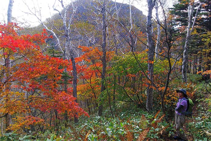 白雲山