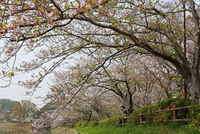 立岡自然公園