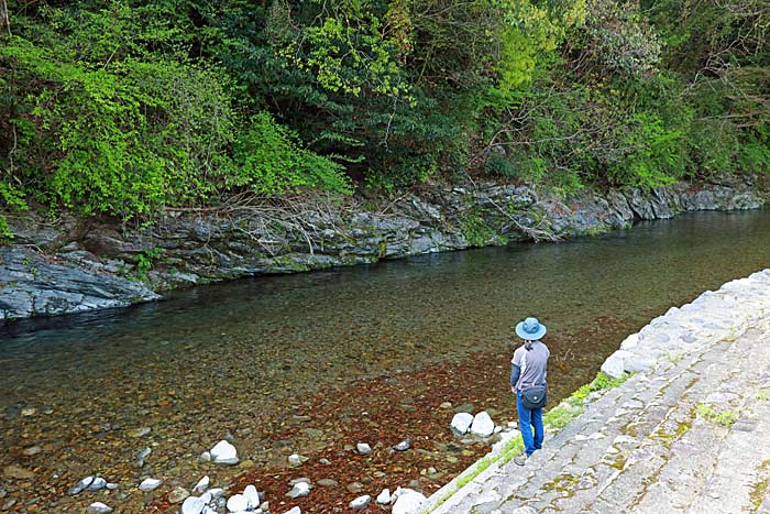 小崎川流れるプール