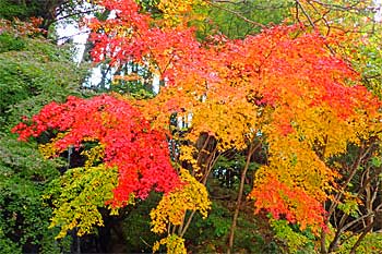 血の池地獄