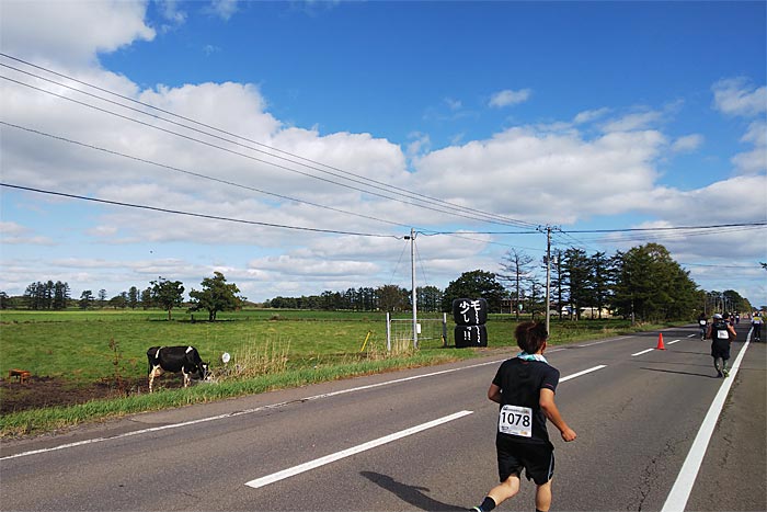 第41回別海町パイロットマラソン