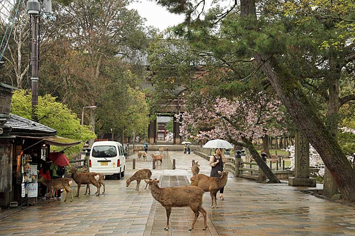 東大寺