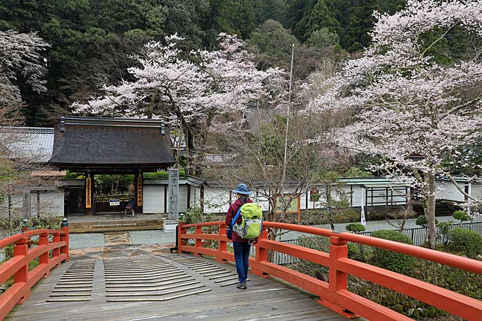 室生寺