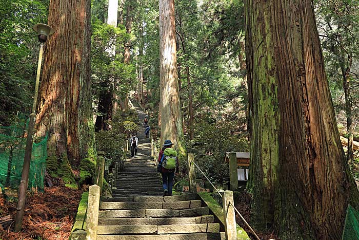 室生寺