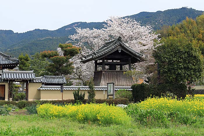 飛鳥寺