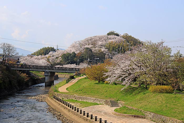 竜田川と三室山