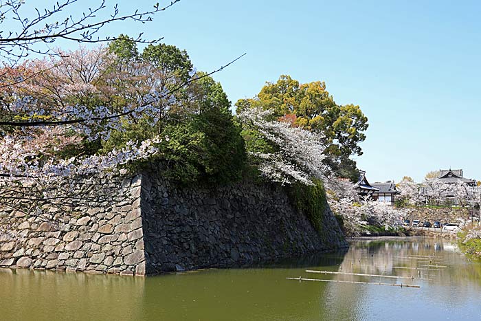 郡山城址