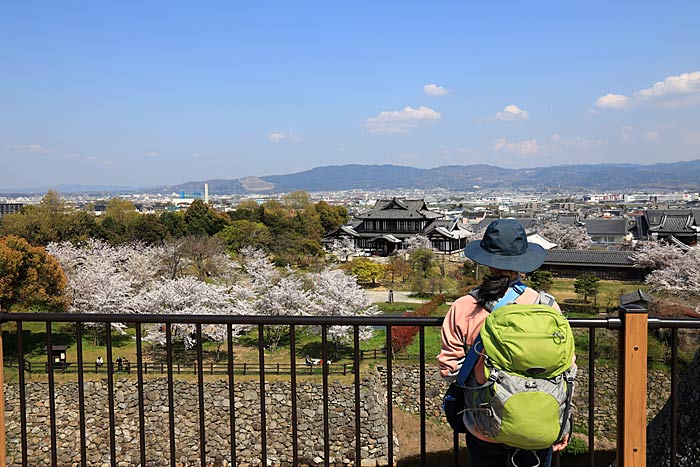 郡山城址