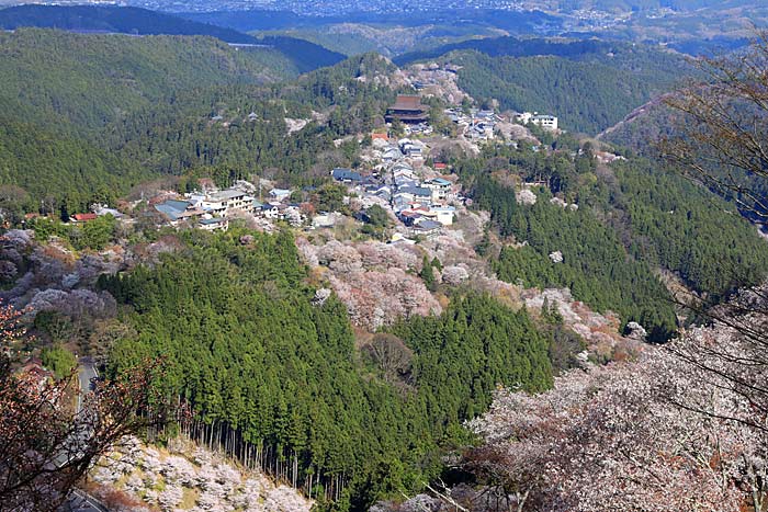 吉野山