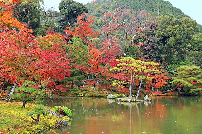 金閣寺