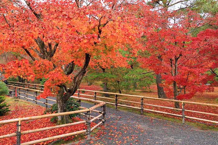 金閣寺