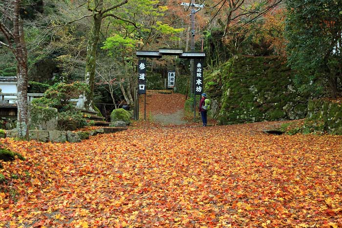 来迎院