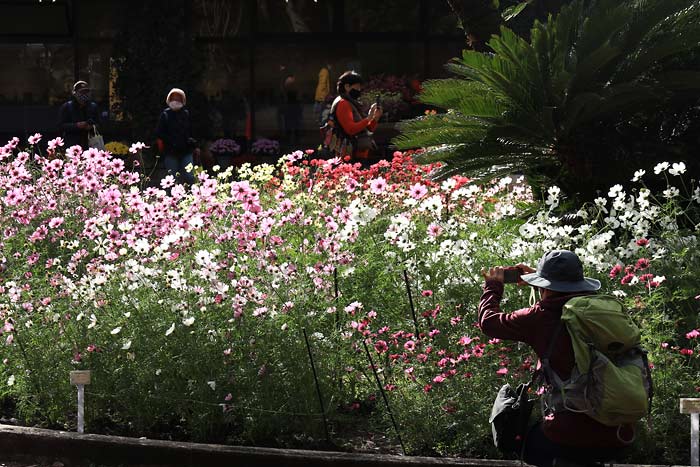 京都府立植物園