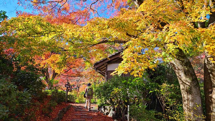 善峯寺