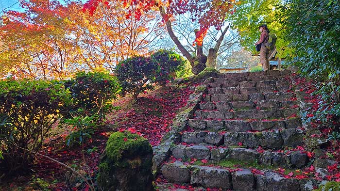 勝持寺