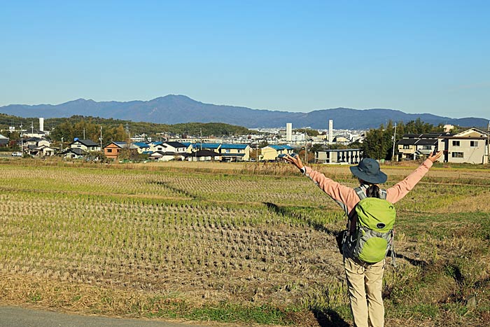 大原野