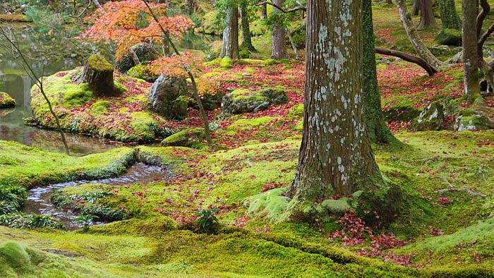 西芳寺