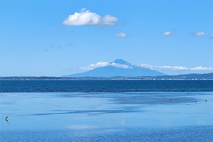 日本最北端わっかない平和マラソン