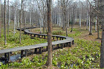 ふうれん望湖台自然公園オートキャンプ場