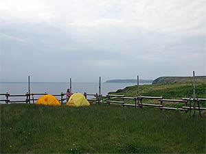 焼尻島白浜野営場