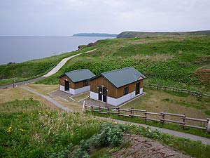 焼尻島白浜野営場