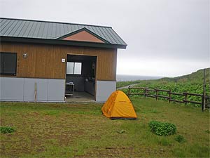 焼尻島白浜野営場