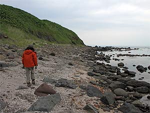 焼尻島白浜野営場