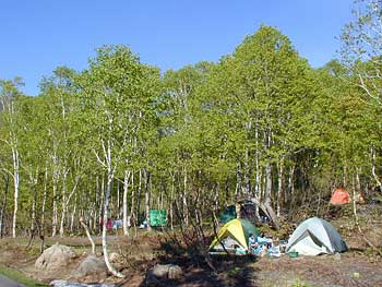 湯本温泉野営場