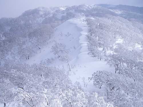 千尺高地への尾根