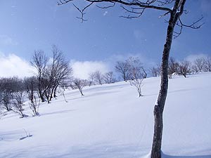 頂上への斜面