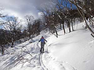 登山道を登る