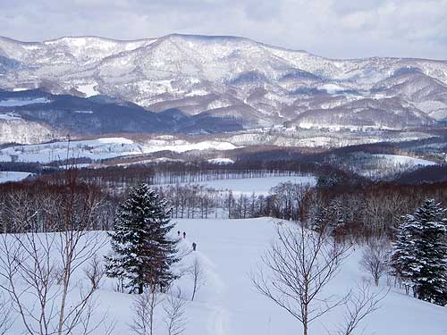 牧場の風景