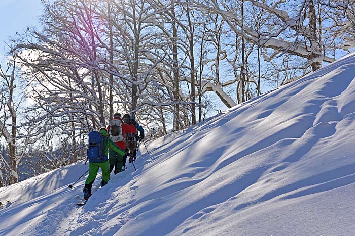 札幌たけのこ山