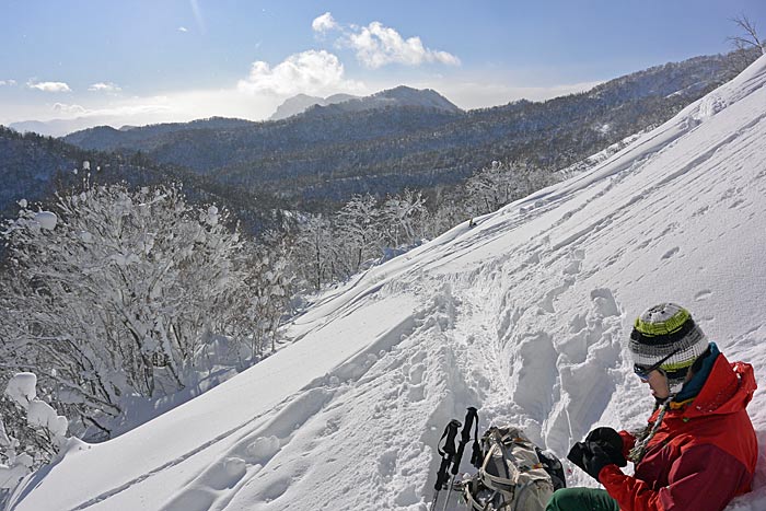 札幌たけのこ山