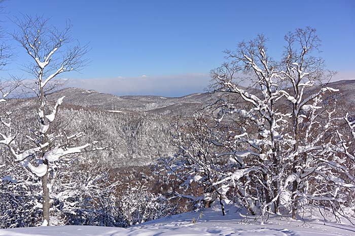 札幌たけのこ山