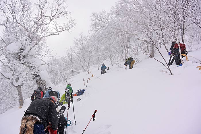 タケノコ山