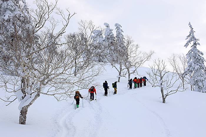 幌加内坊主山バックカントリー