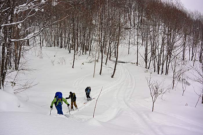 天幕山の山スキー