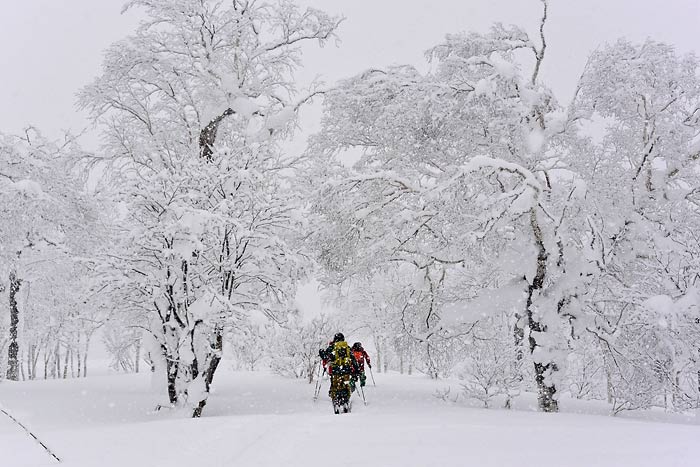 天幕山の山スキー