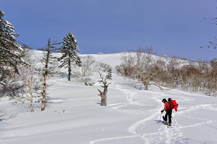 労山熊見山バックカントリー