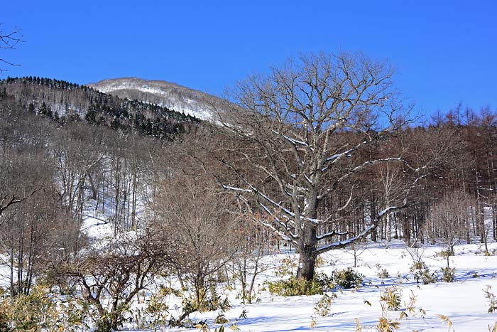 岩越山バックカントリー