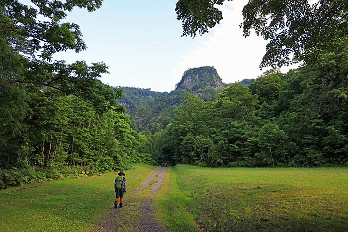 雨竜沼湿原登山道